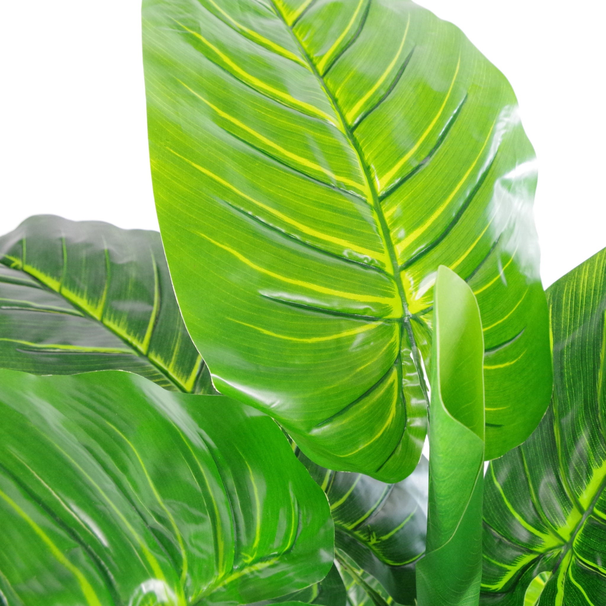 buy elephant ear plant uk 105cm Artificial Elephant Ear Plant (Colocasia)