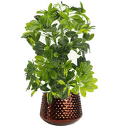 18cm Antique Copper Metal Planter