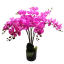 85cm Artificial Deluxe Bush Orchid - Dark Pink with Black Pot