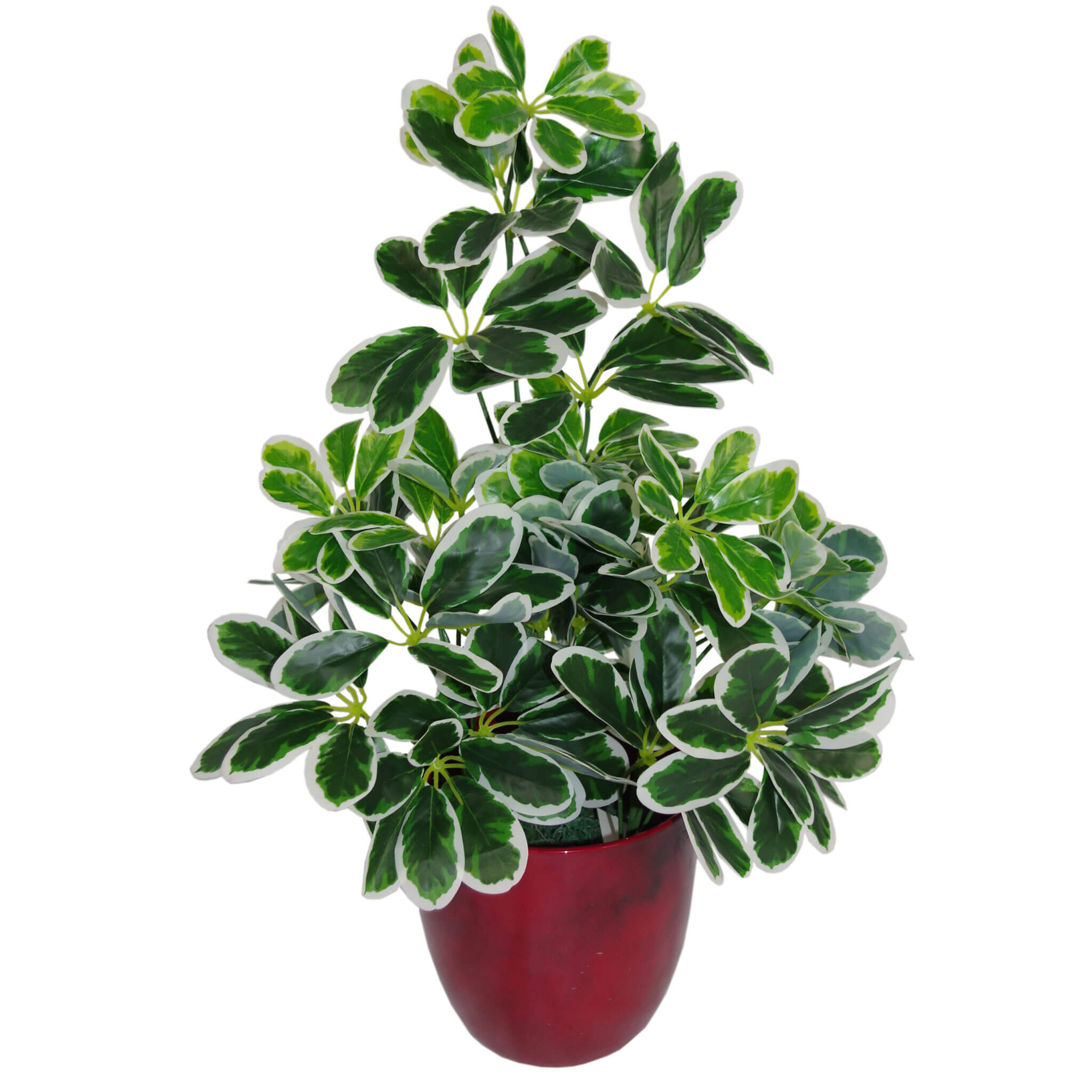 55cm Variegated Artificial Schefflera Arboricola Plant