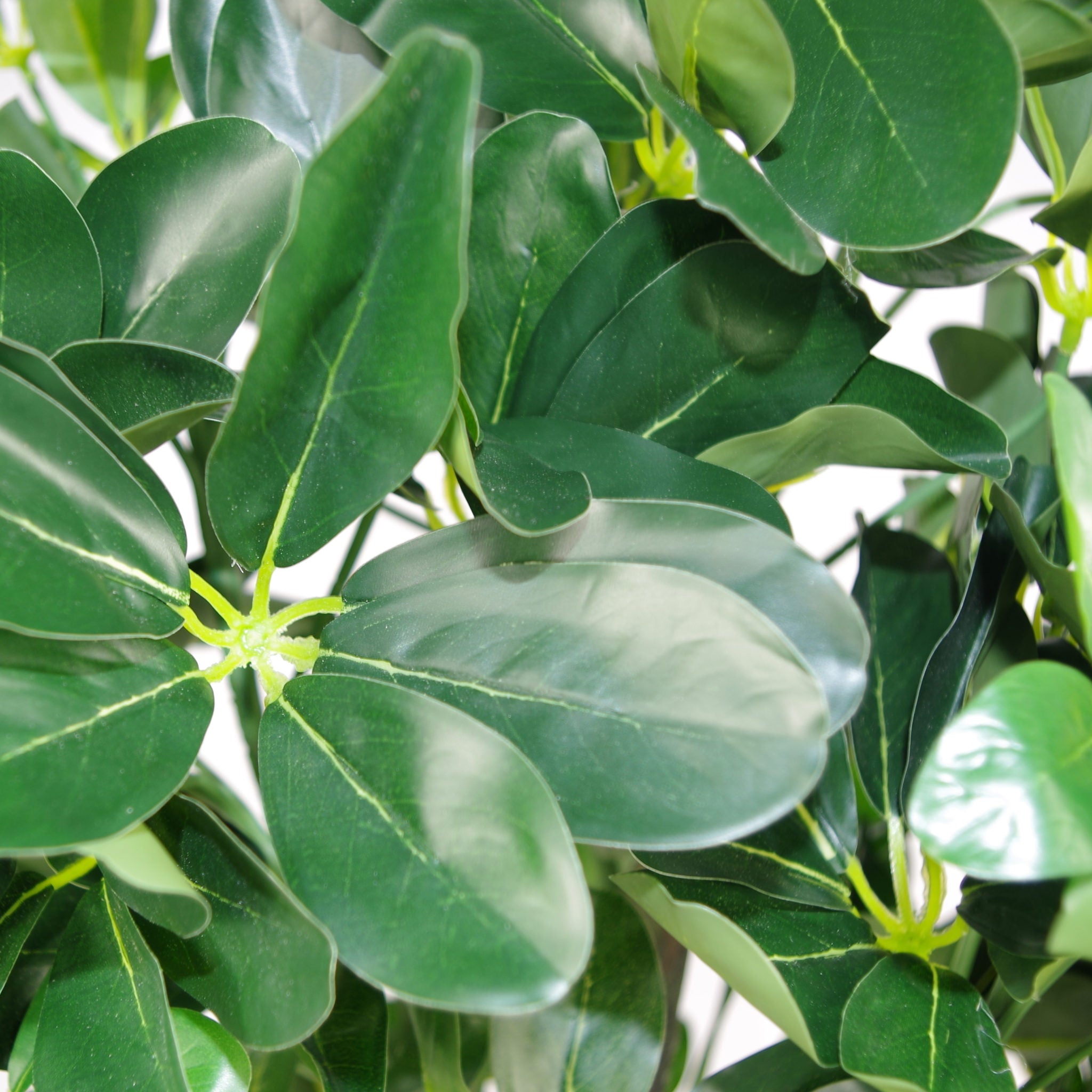 95cm Umbrella Tree Dark Green Artificial Ficus Plant