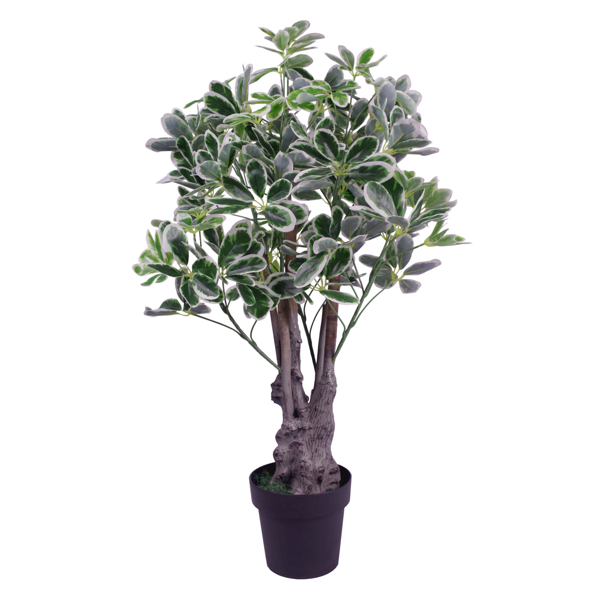 100cm Artificial Umbrella Tree Ficus Indoor Plant - Extra Large