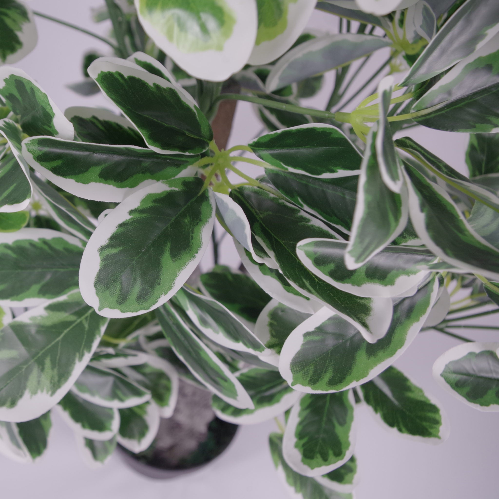 100cm Artificial Umbrella Tree Ficus Indoor Plant - Extra Large