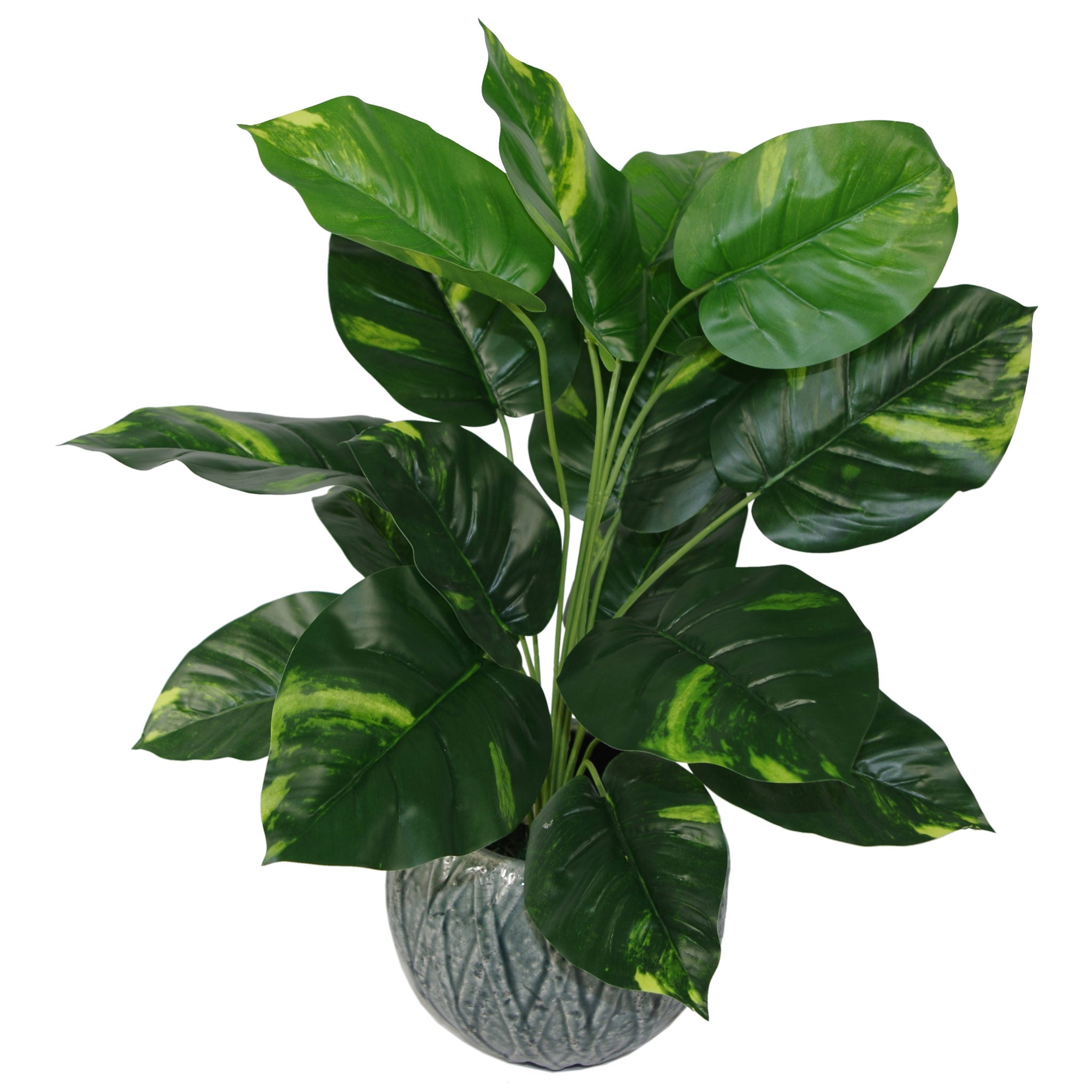 60cm Artificial Devils Ivy (Scindapsus Aureus) Plant