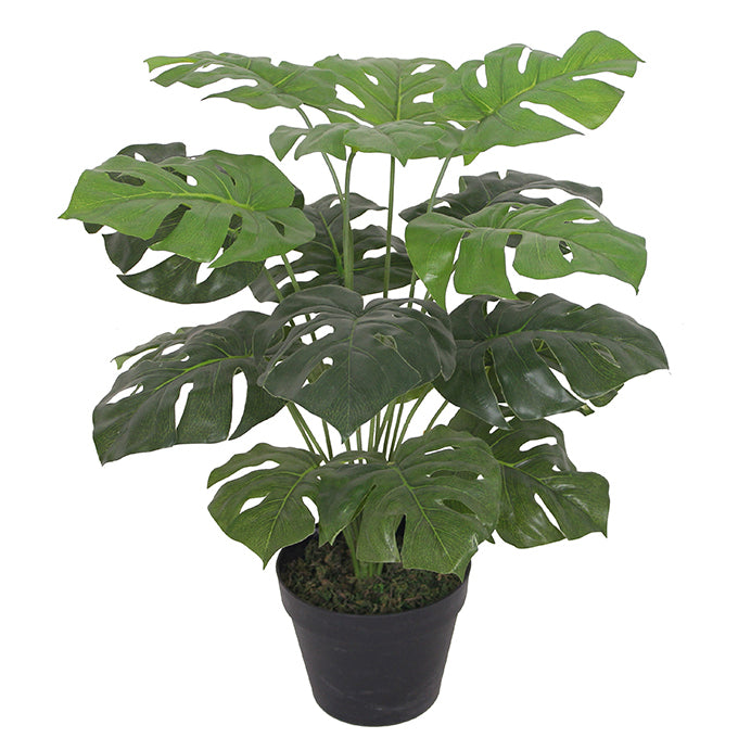 Artificial Monstera Plant - 60cm Monstera