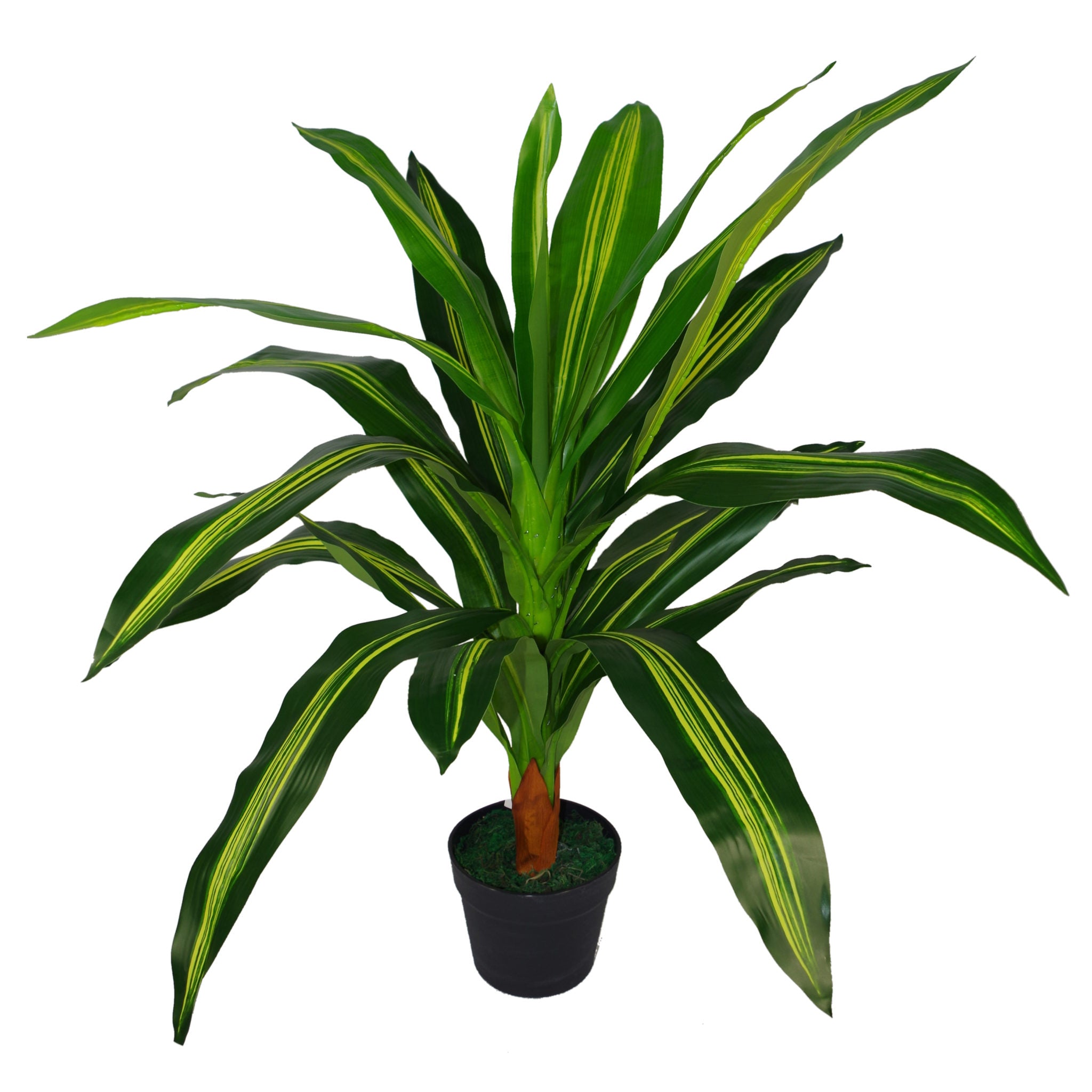 90cm Dracaena Large Green Artificial Dragon Plant Tree