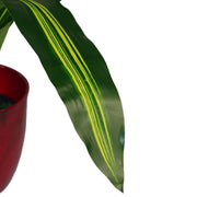 90cm Extra Wide Dracaena Variegated Large Artificial Dragon Plant Tree