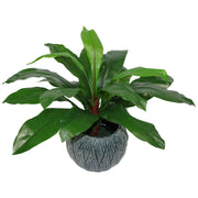 60cm Bushy Large Artificial Birds Nest Fern Plant