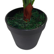 50cm Bushy Artificial Birds Nest Fern Plant