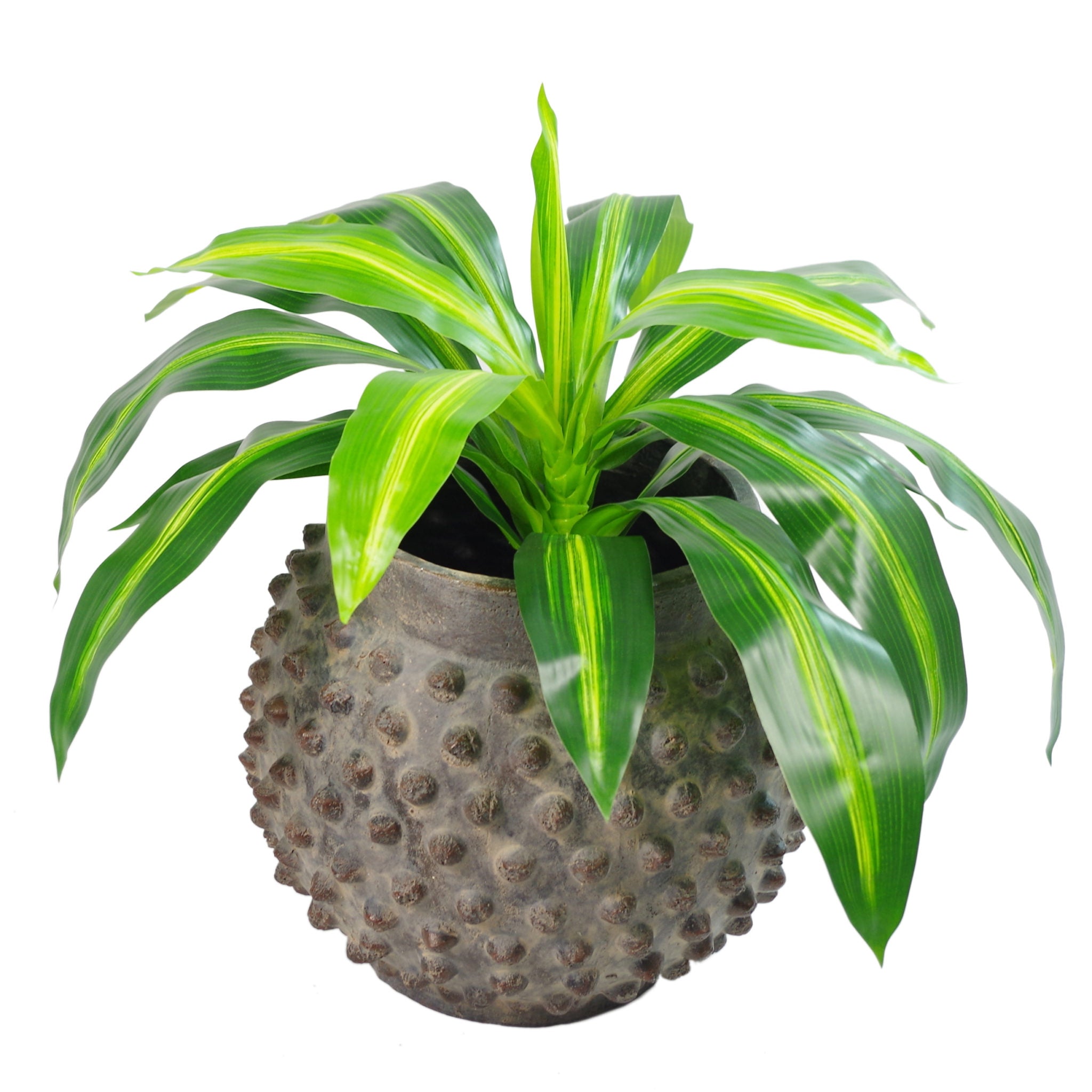 40cm Artificial Dracaena Pot Plant - Variegated Leaves