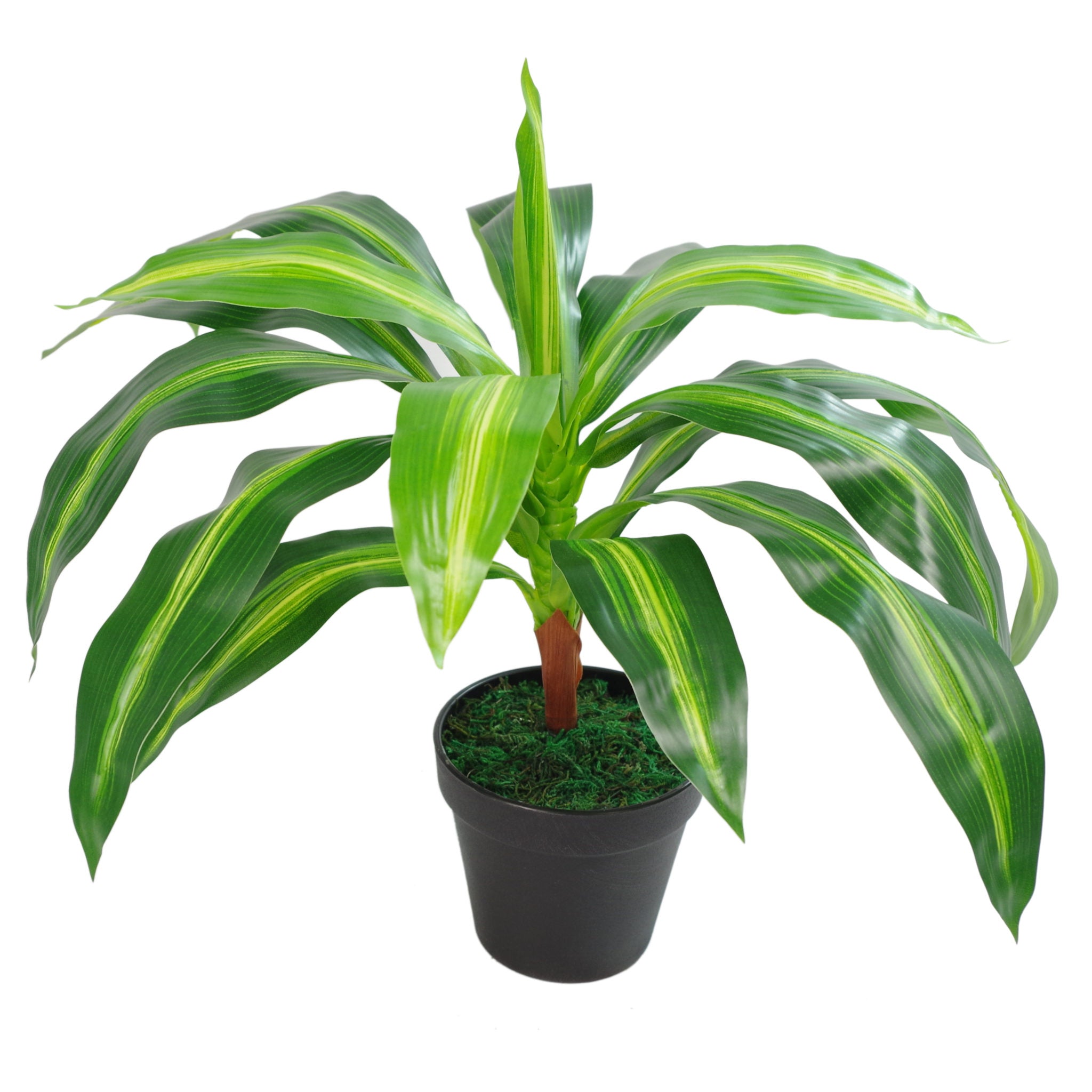 40cm Artificial Dracaena Pot Plant - Variegated Leaves