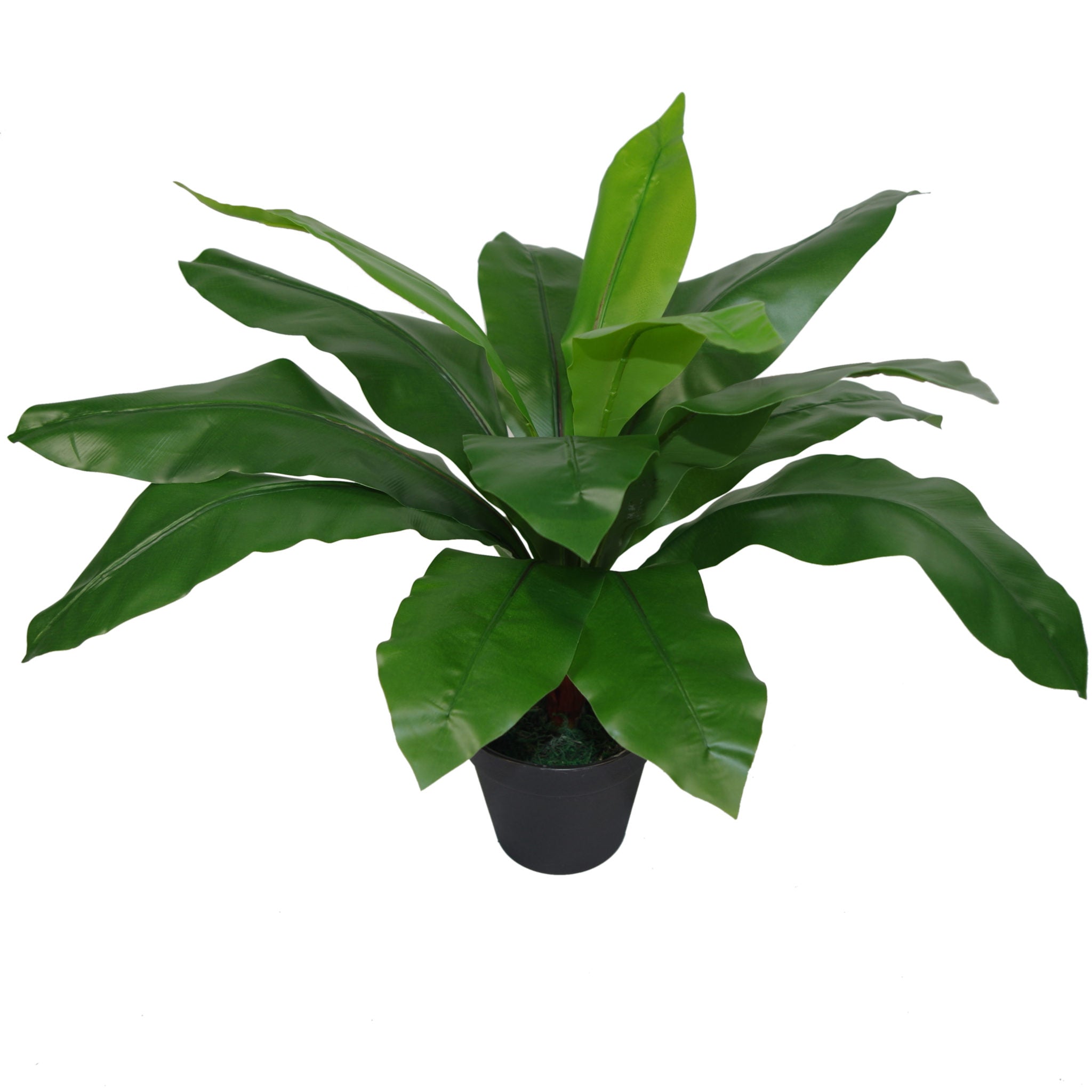 50cm Bushy Artificial Birds Nest Fern Plant
