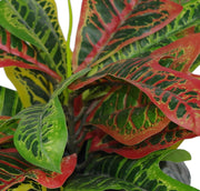 40cm Artificial Codiaeum Multicoloured House Plant