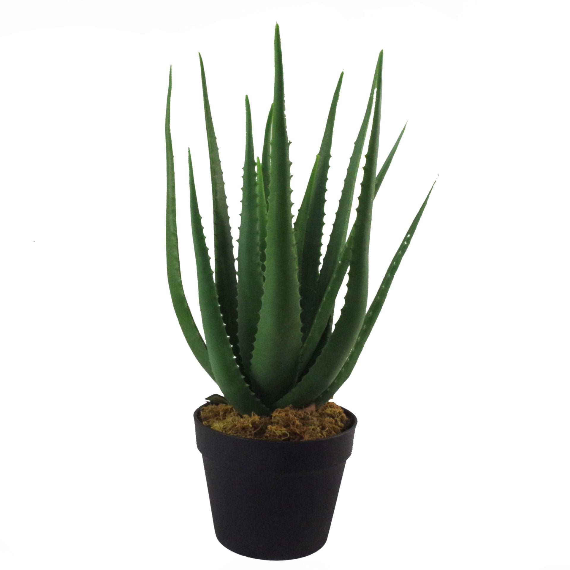 55cm Artificial Large Aloe Vera Succulent Plant
