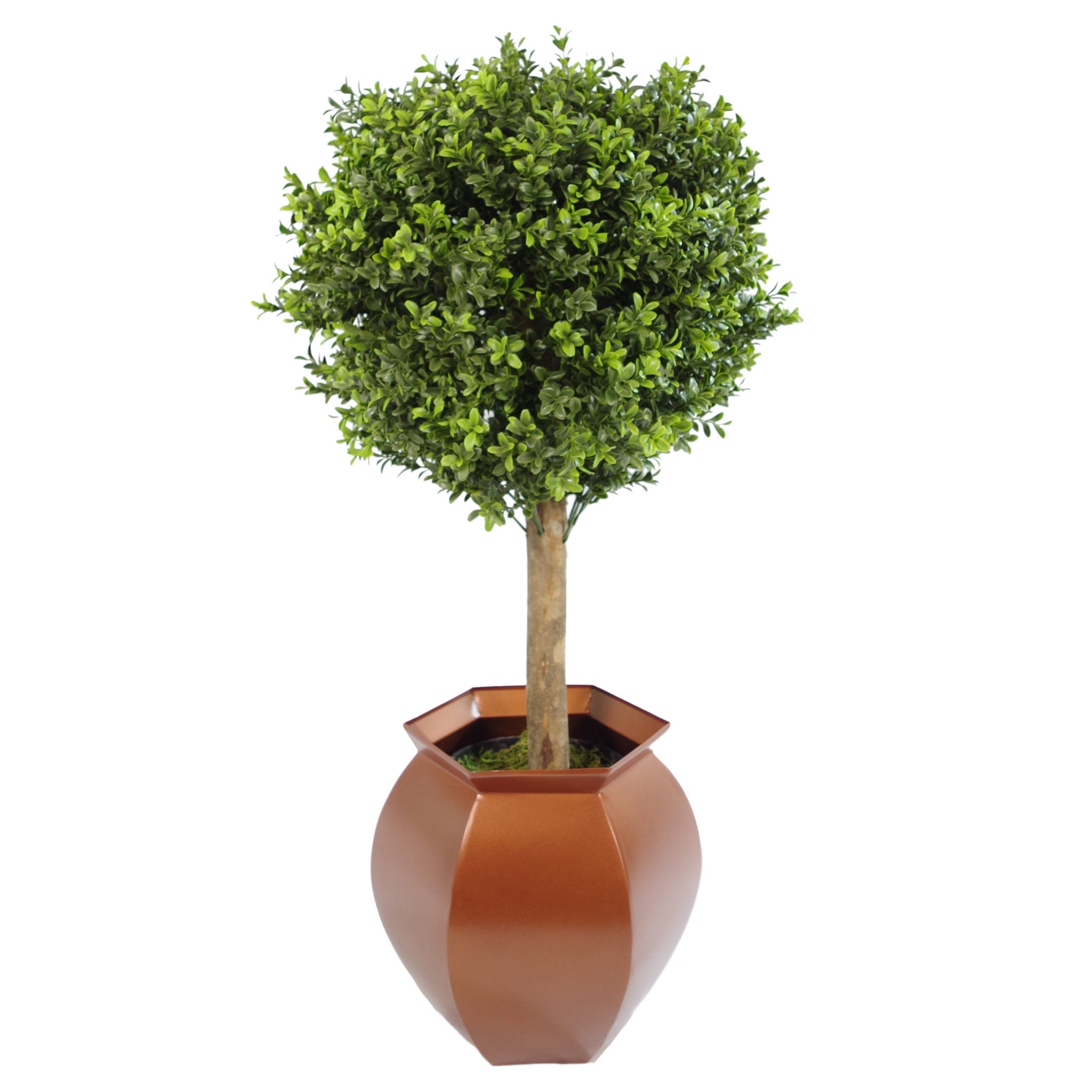 80cm Boxwood Artificial Topiary Buxus Ball Tree - Extra Wide 45cm Diameter