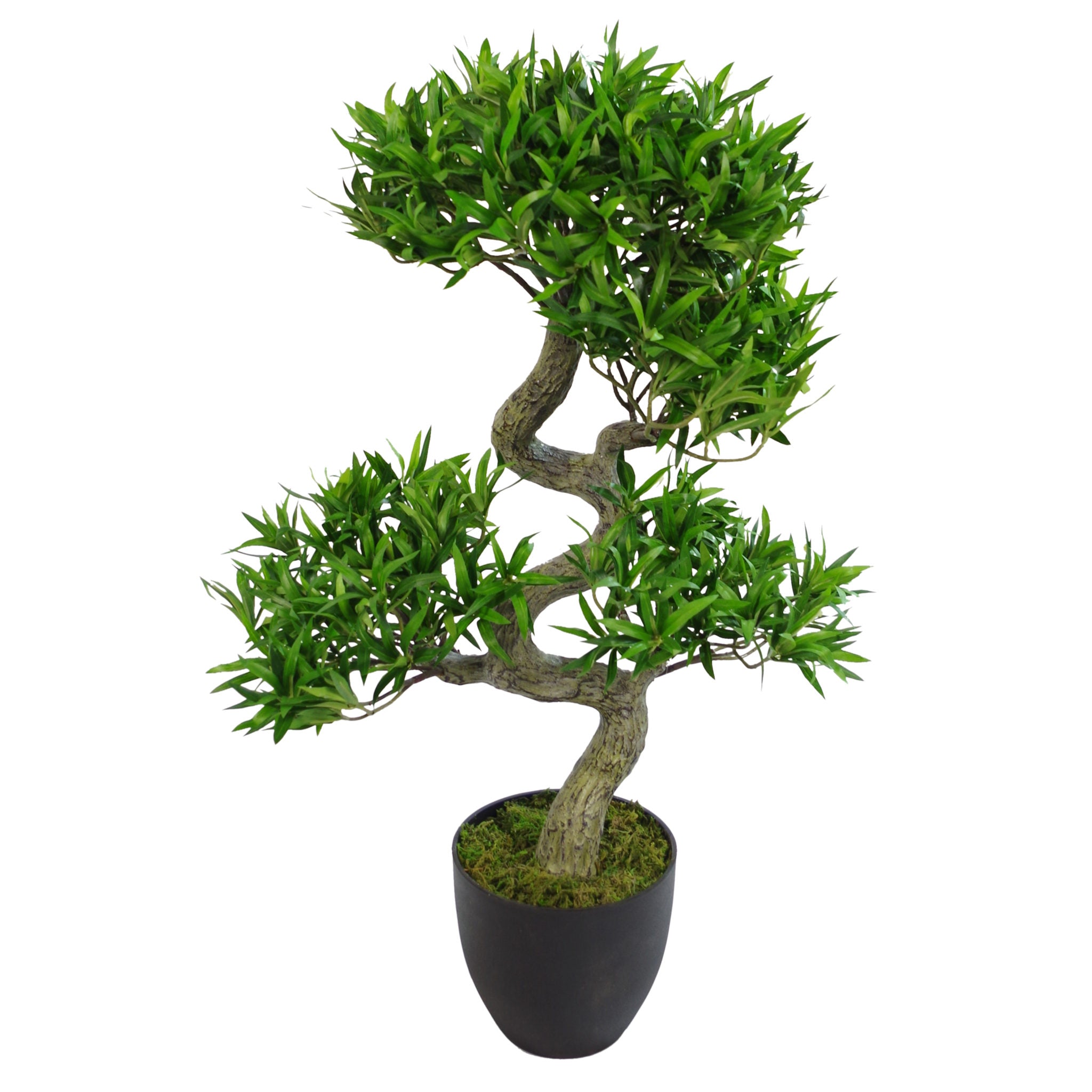 75cm Artificial Podocarpus Tree With Black Pot - Premium Range