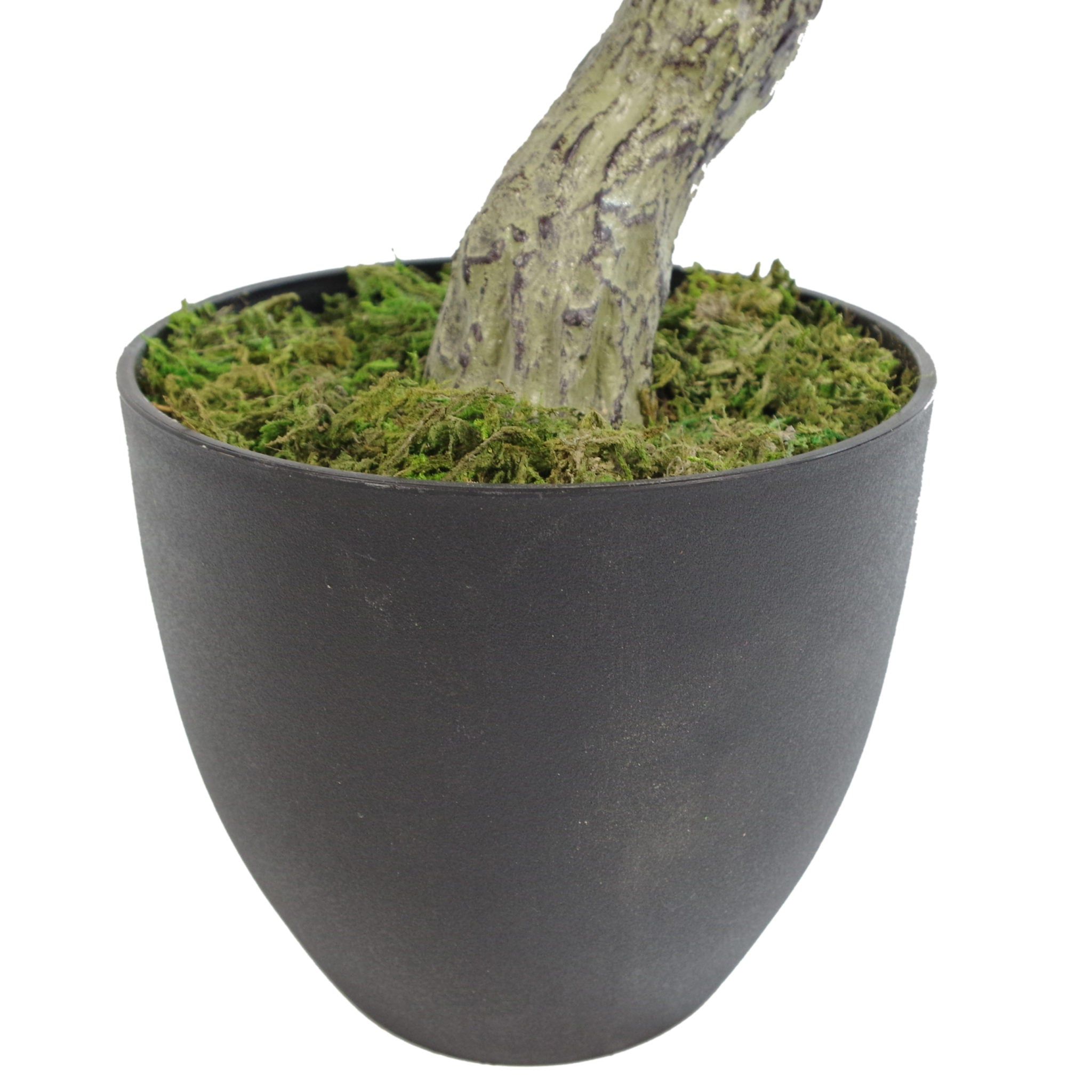 75cm Artificial Podocarpus Tree With Black Pot - Premium Range