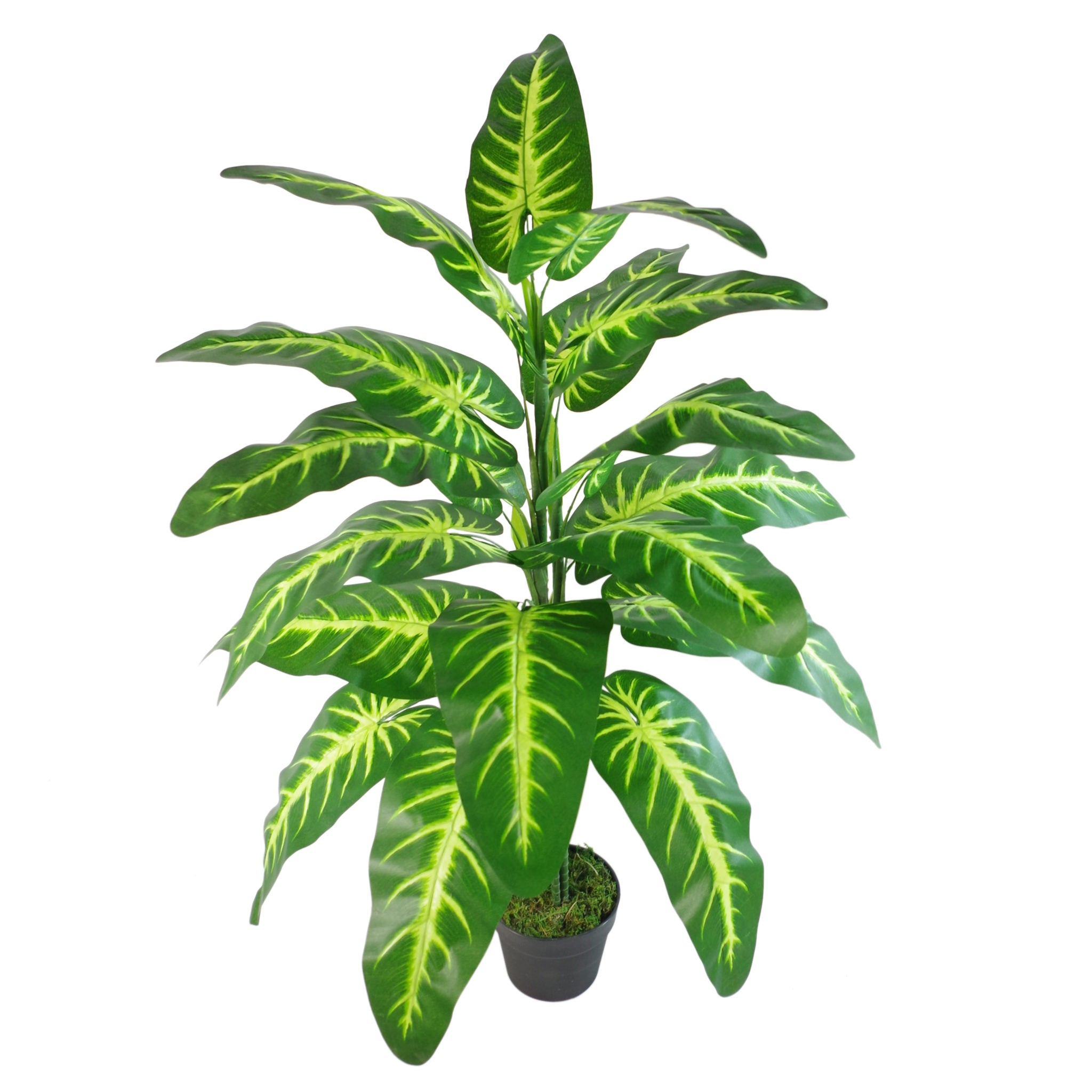 120cm Artificial Large Leaved Evergreen Tall Variegated Plant