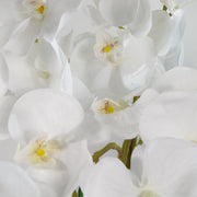 85cm Artificial Deluxe Bush Orchid - White