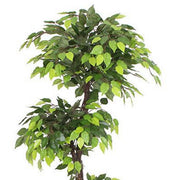 150cm Natural Trunk Artificial Japanese Fruticosa Style Ficus Tree