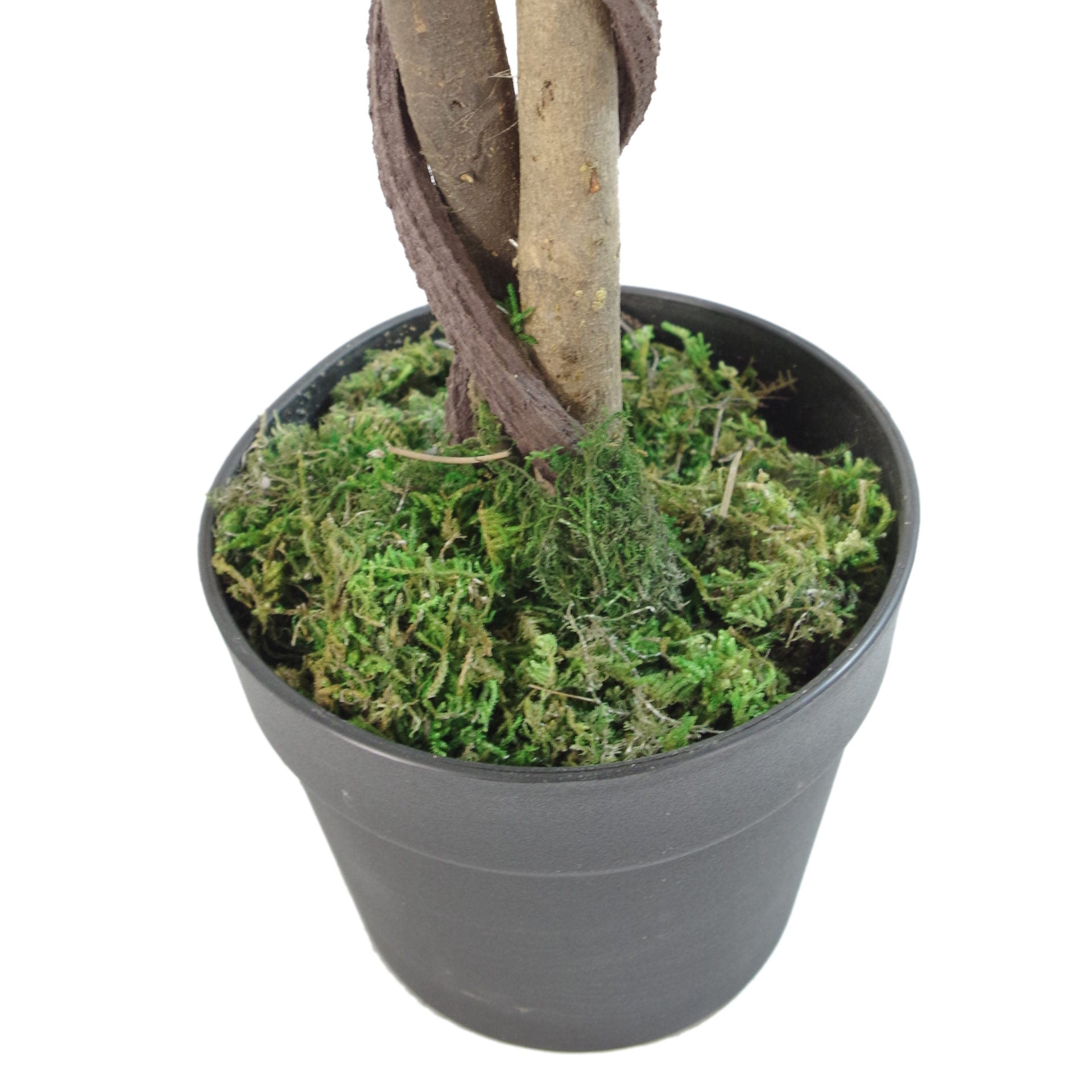 150cm Natural Trunk Artificial Japanese Fruticosa Style Ficus Tree