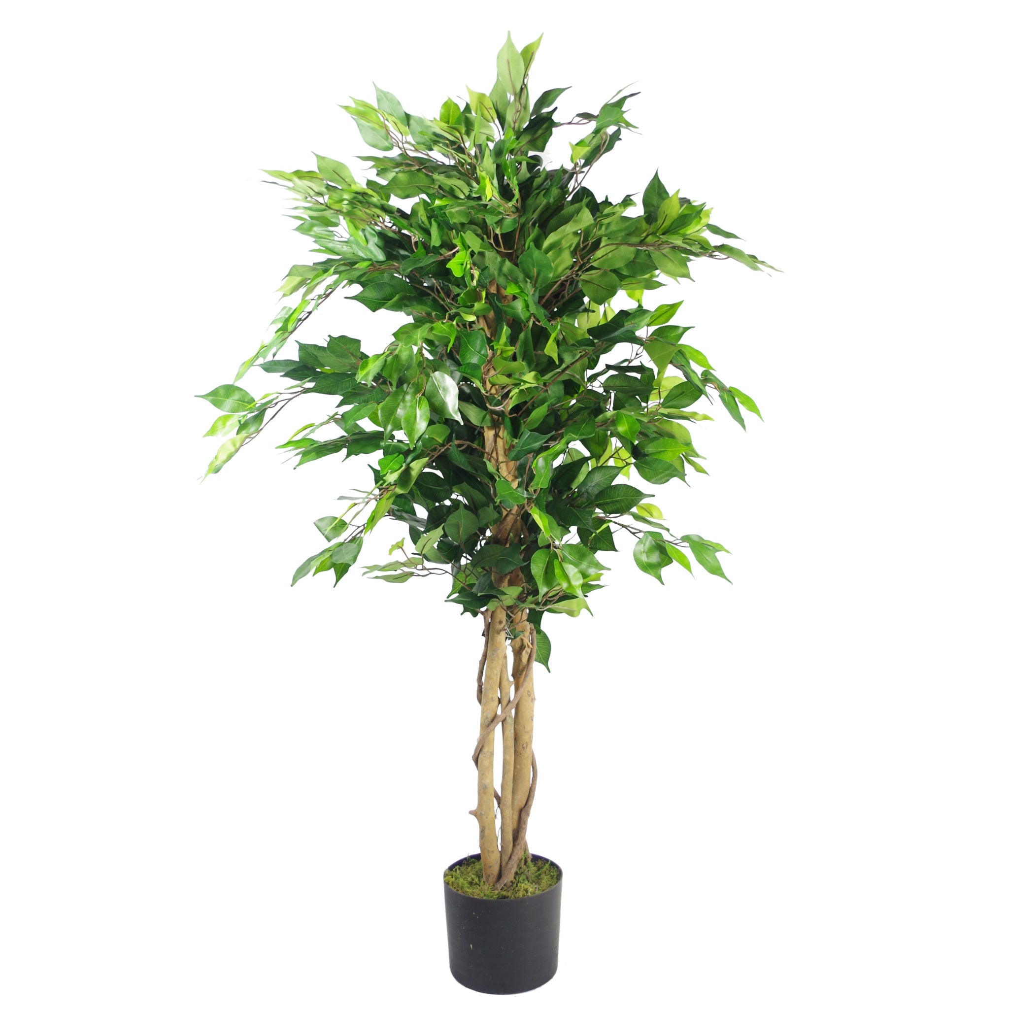 120cm Premium Artificial Ficus Twist Tree