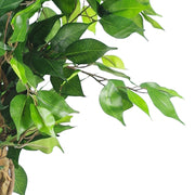 120cm Premium Artificial Ficus Twist Tree