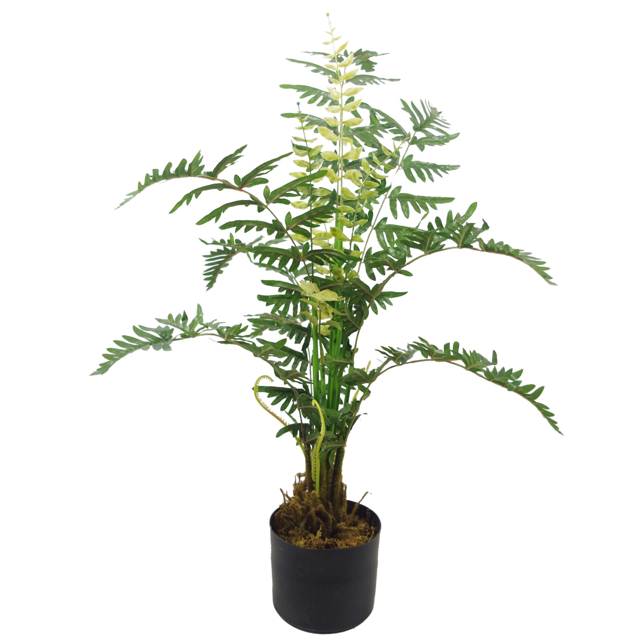 90cm Premium Artificial Fern with pot
