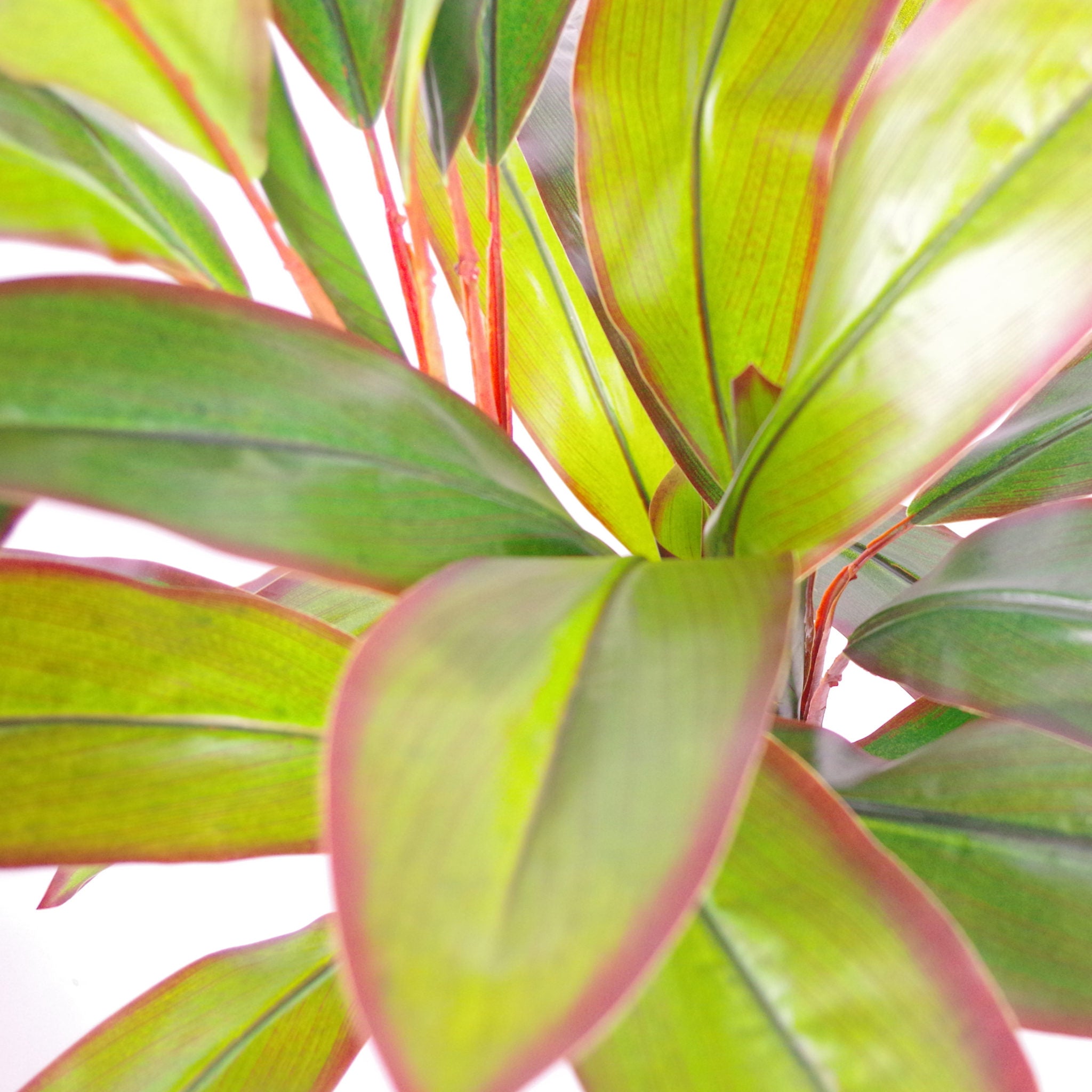100cm Artificial Potted Dracaena Tropical Plant with Copper Metal Plater