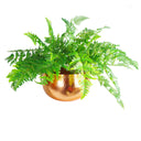 Leaf XL Metal Bowl Planter 32 x 20cm Hammered Copper Colour - Straight Edge
