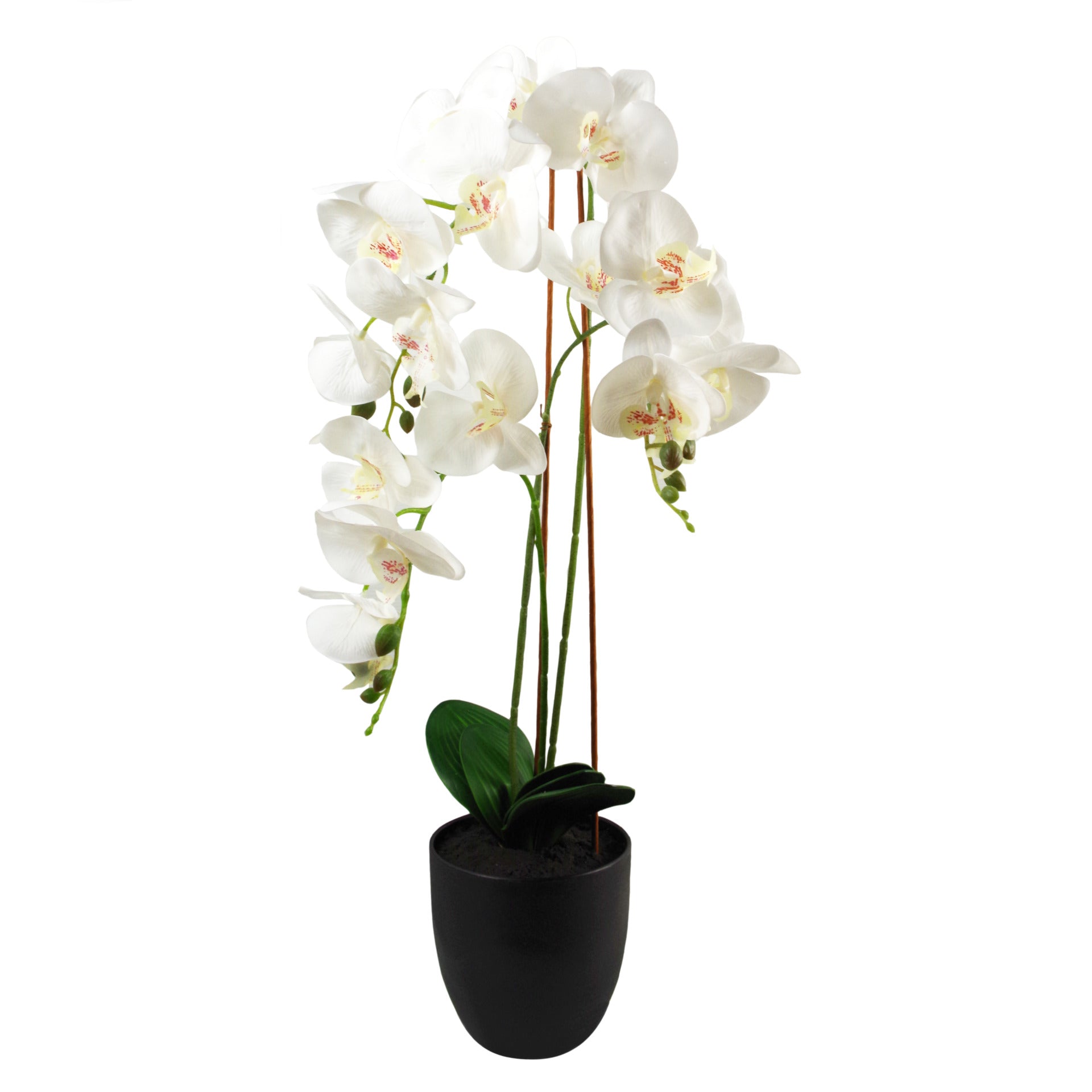 70cm Artificial Orchid White
