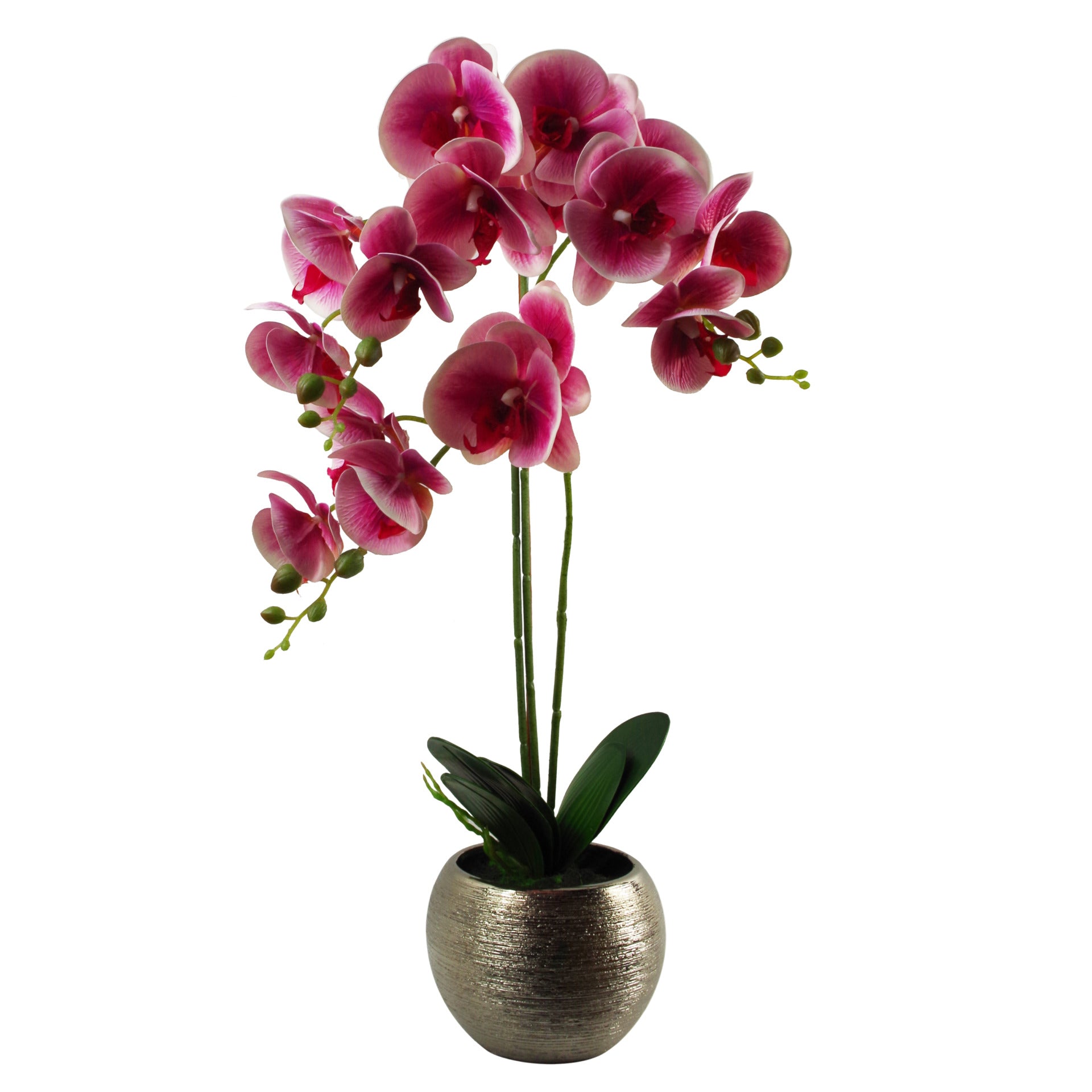 70cm Artificial Orchid Dark Pink with Silver Ceramic Planter