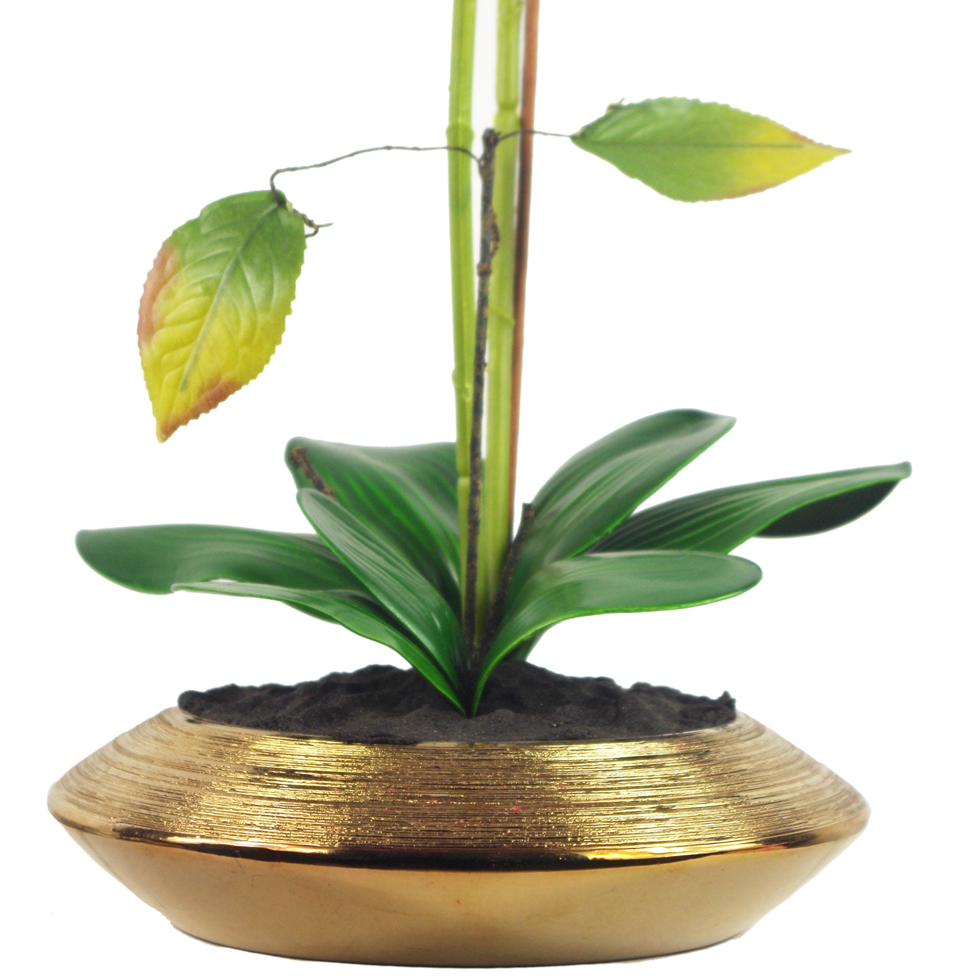 70cm Artificial Orchid White with Gold Dish Ceramic Planter