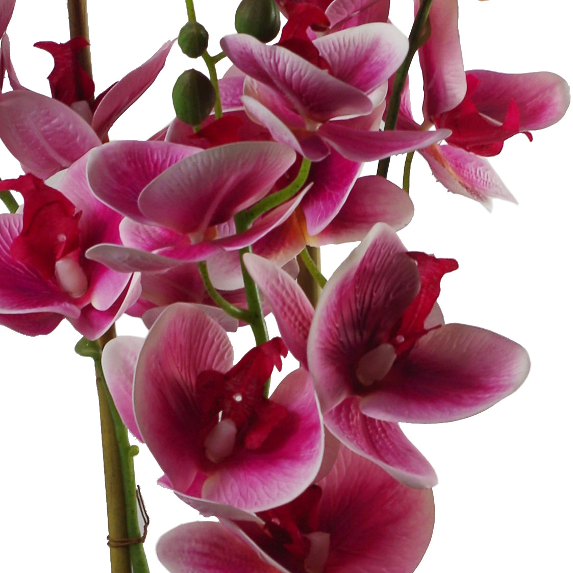 70cm Artificial Orchid Dark Pink with Black Ceramic Planter