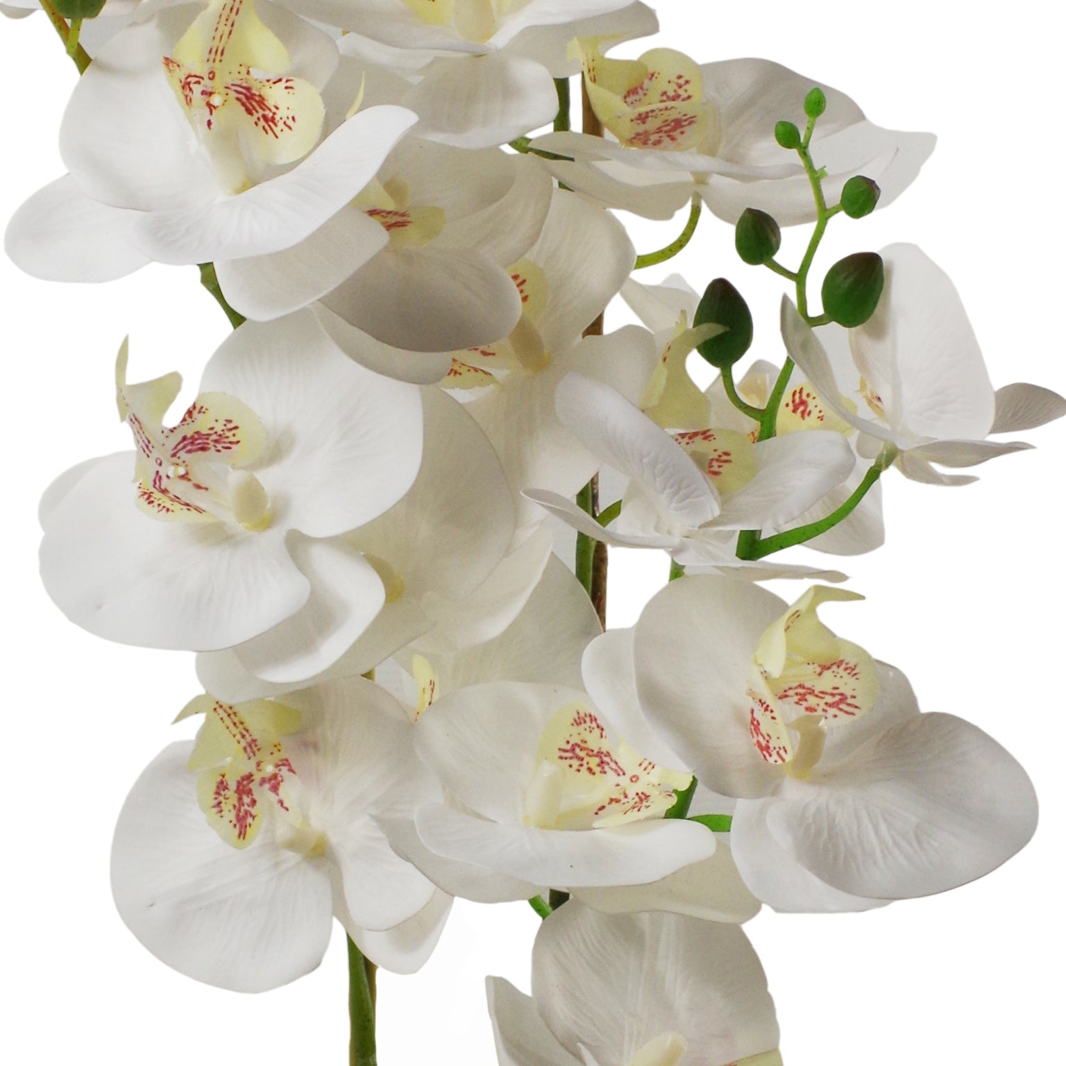 70cm Artificial Orchid White with Black Ceramic Planter