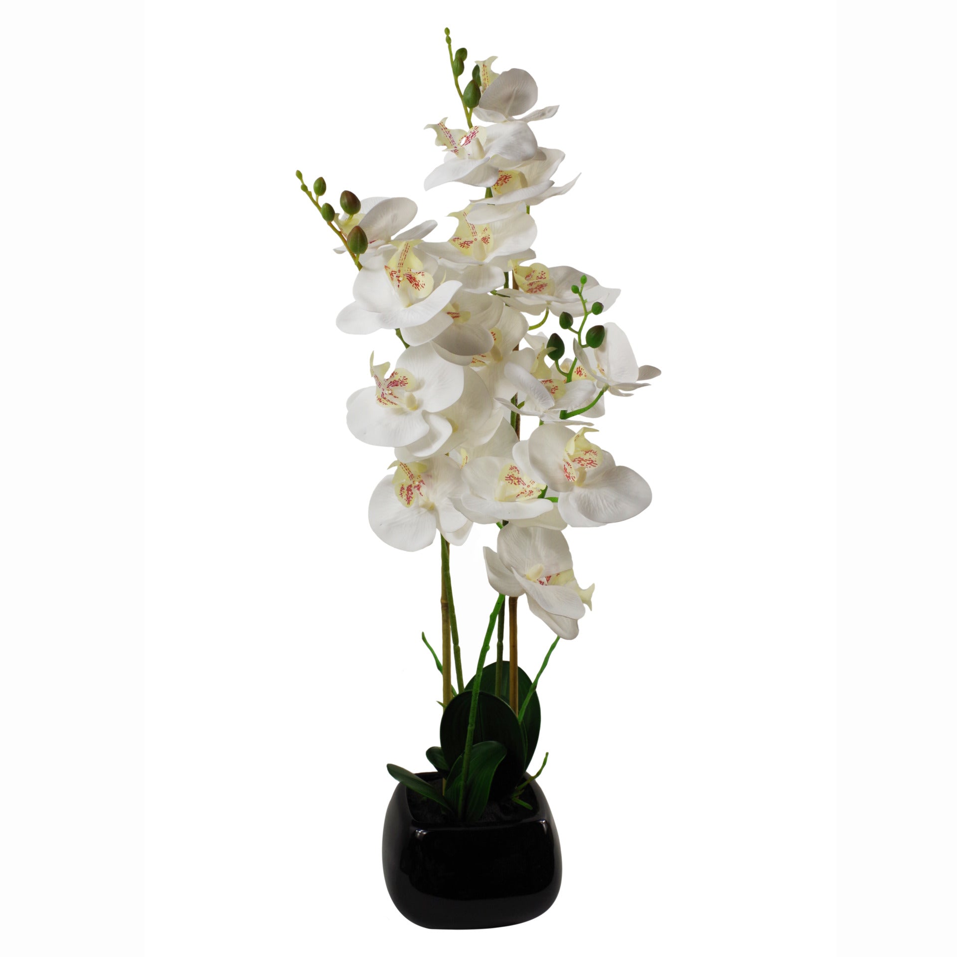 70cm Artificial Orchid White with Black Ceramic Planter