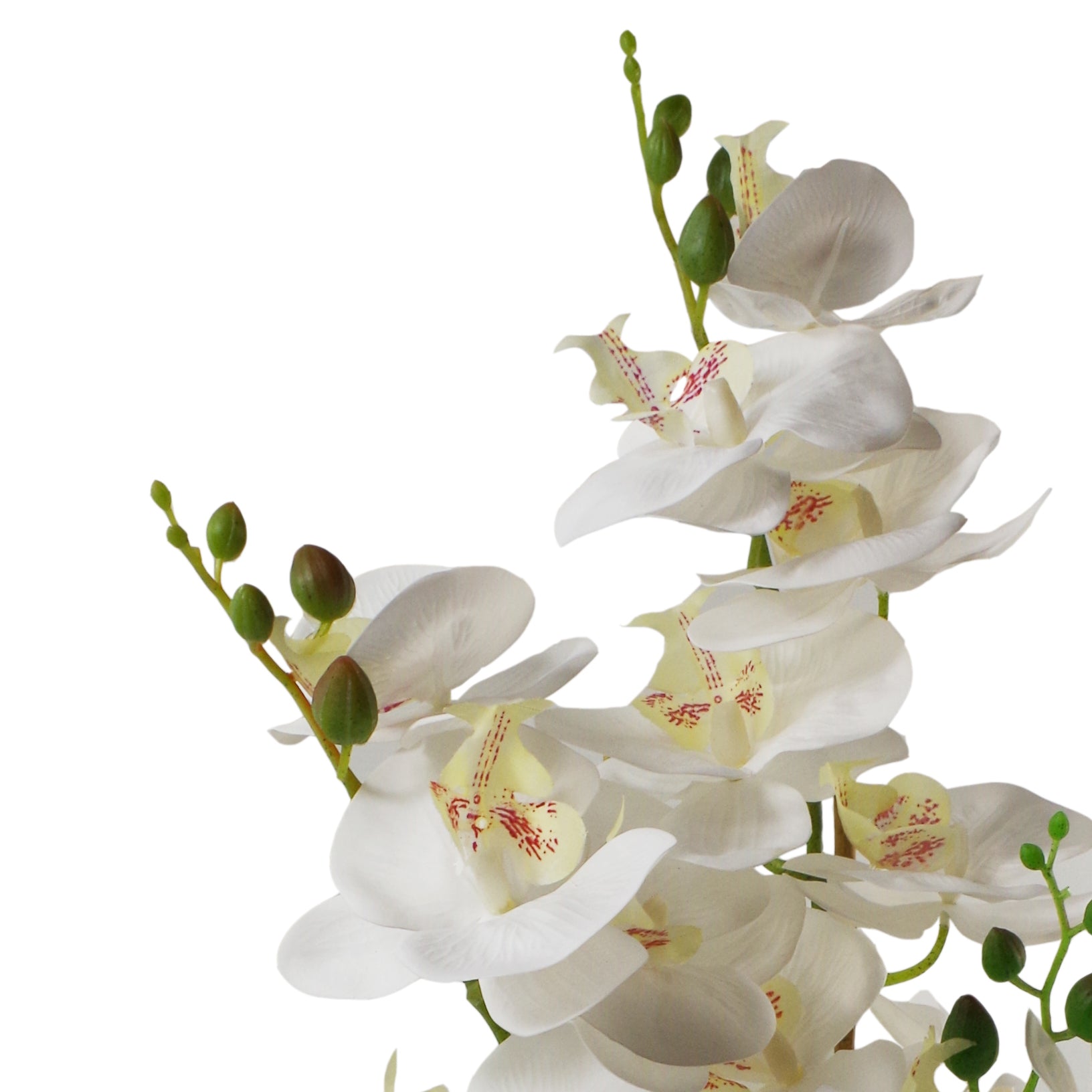 70cm Artificial Orchid White with Black Ceramic Planter