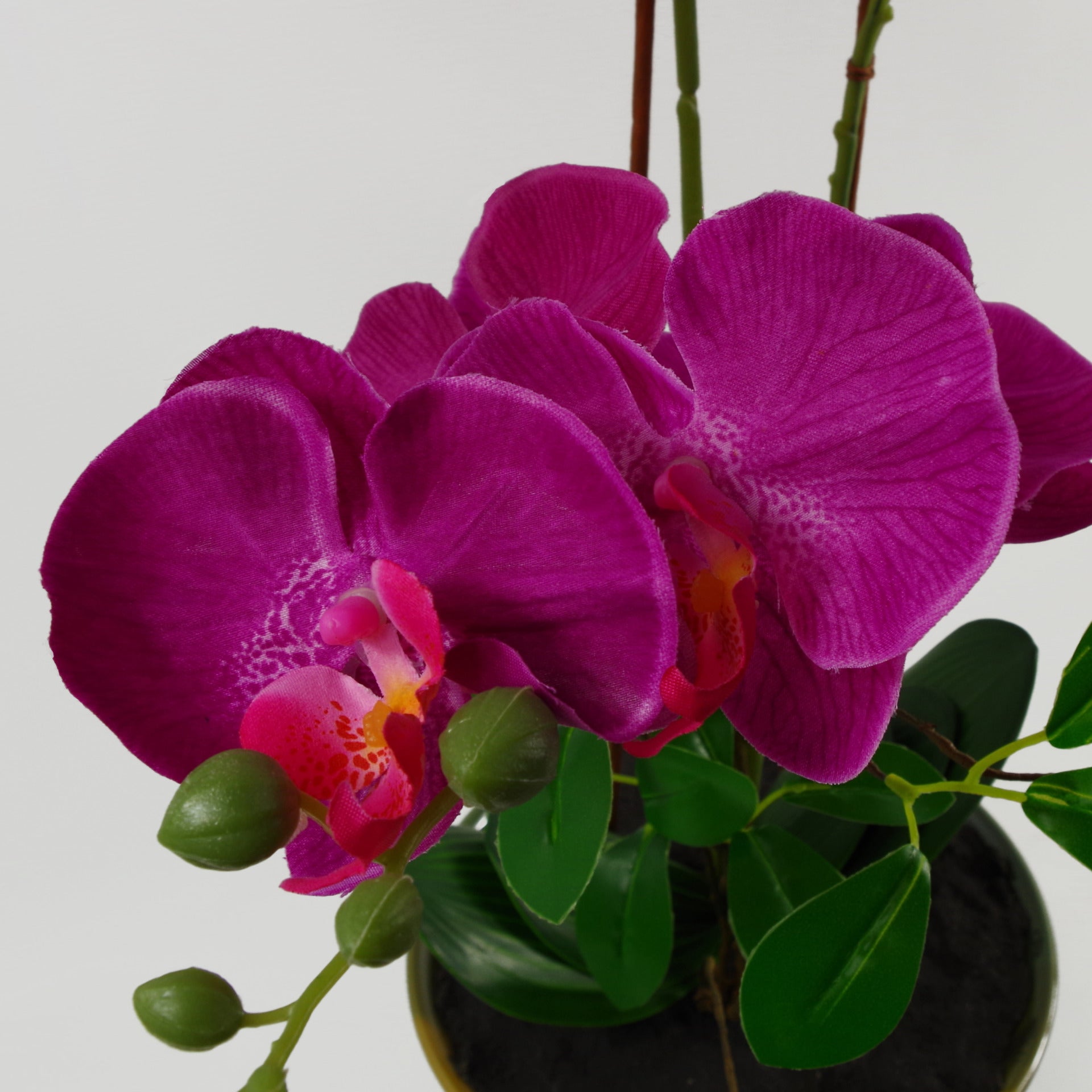 65cm Artificial Orchid Dark Pink in Glazed Planter