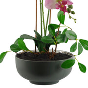 65cm Artificial Orchid Light Pink in Glazed Planter