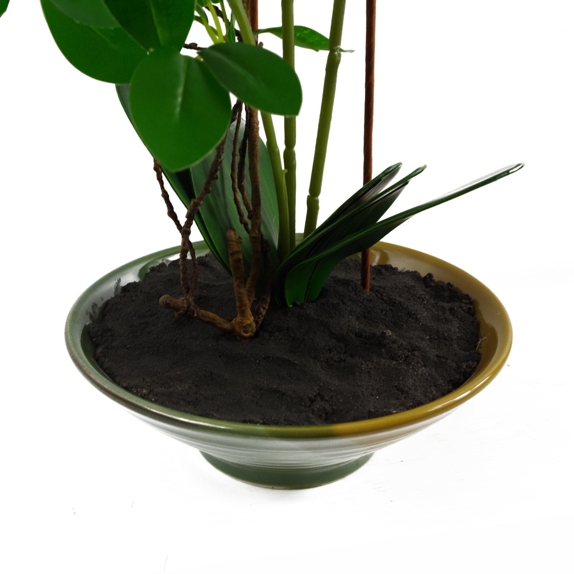 65cm Artificial Orchid White in Glazed Planter