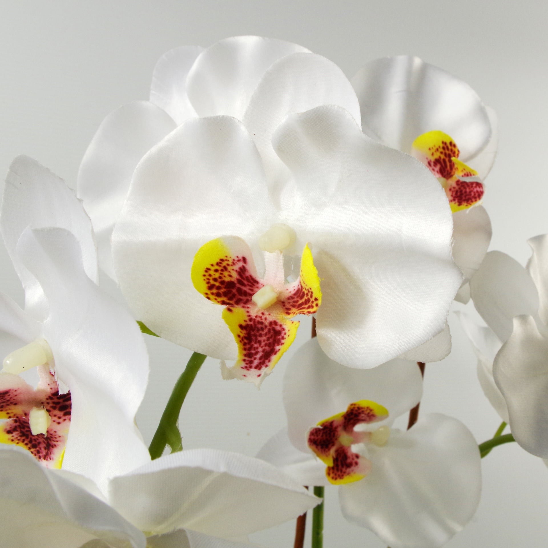 65cm Artificial Orchid White in Glazed Planter