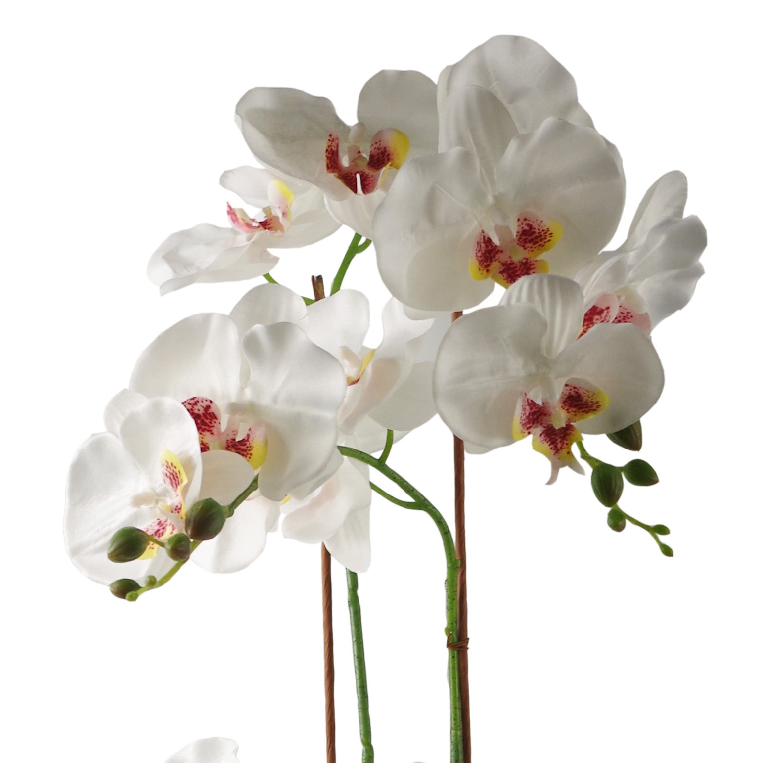 65cm Artificial Orchid White in Glazed Planter