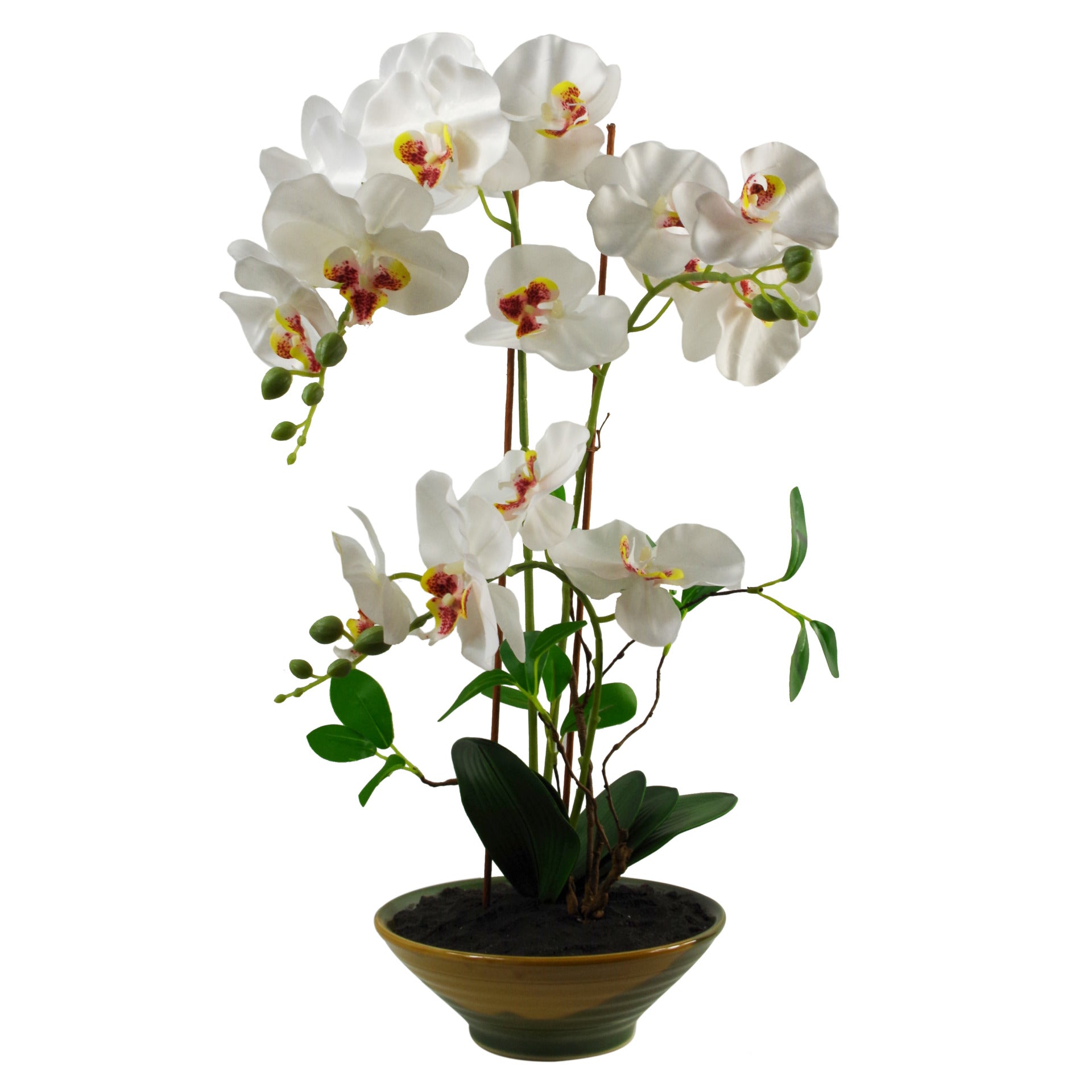 65cm Artificial Orchid White in Glazed Planter