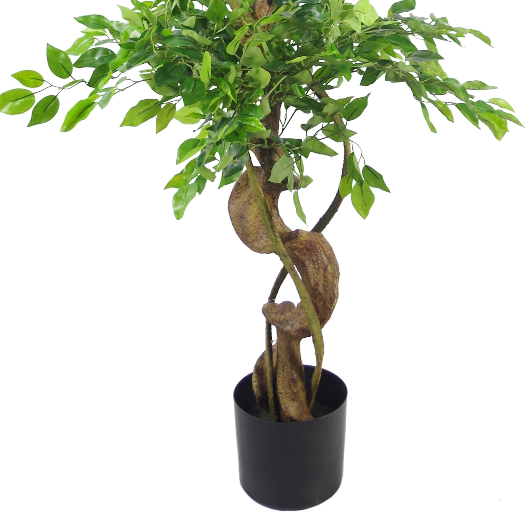 150cm Twisted Trunk Artificial Japanese Fruticosa Ficus Tree Black Planter