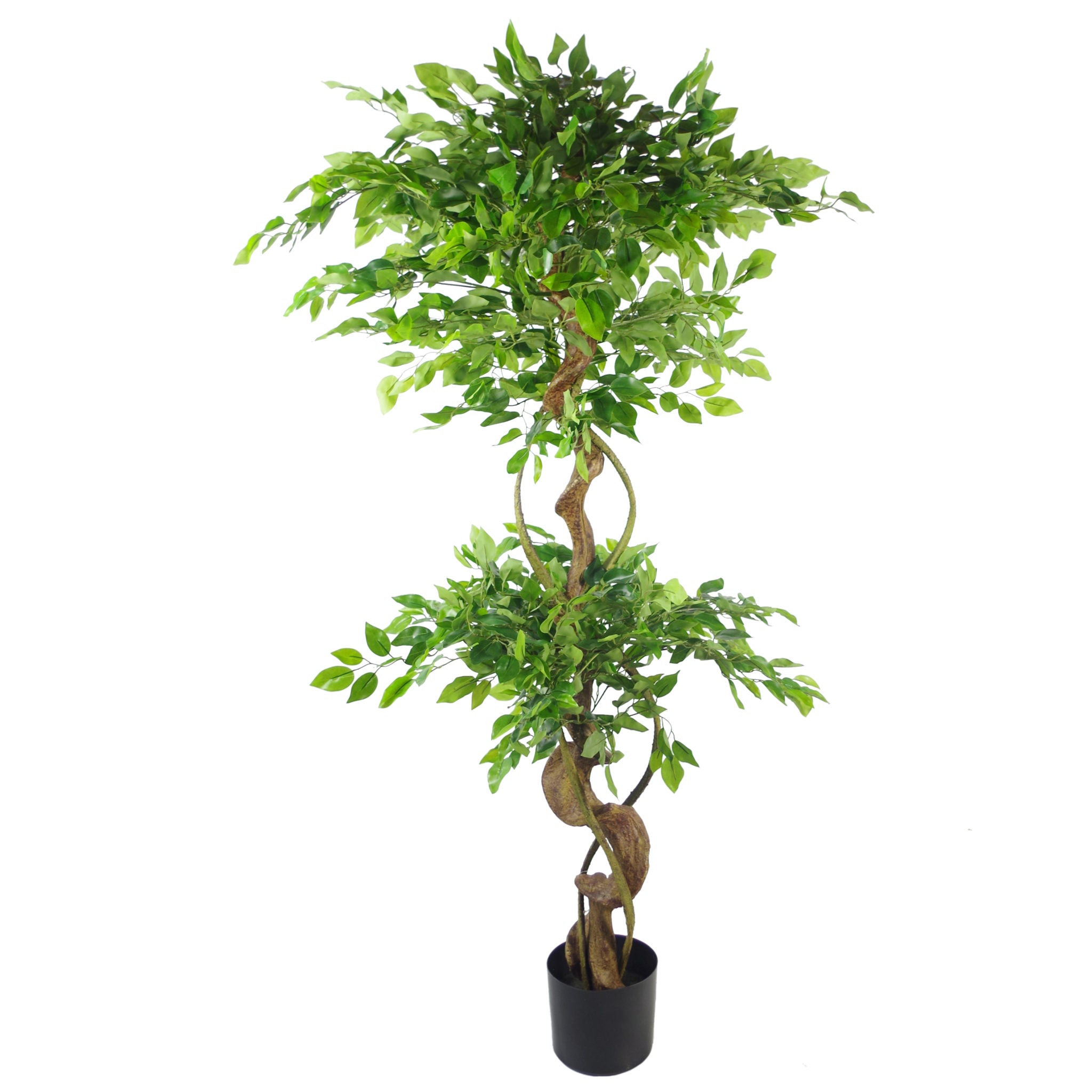 150cm Twisted Trunk Artificial Japanese Fruticosa Ficus Tree Rainbow Planter