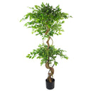 150cm Twisted Trunk Artificial Japanese Fruticosa Ficus Tree Gold Planter