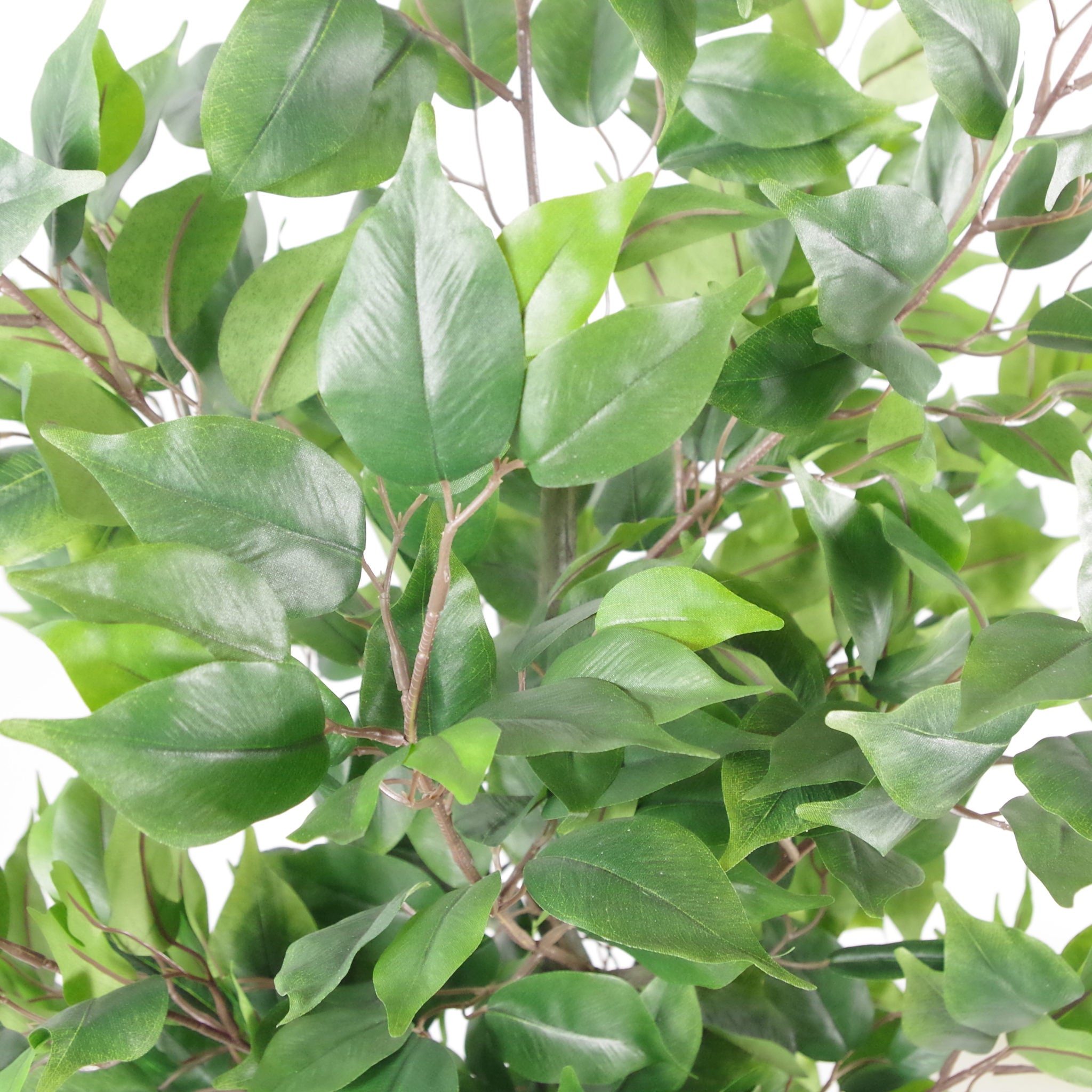 110cm Artificial Evergreen Ficus Tree