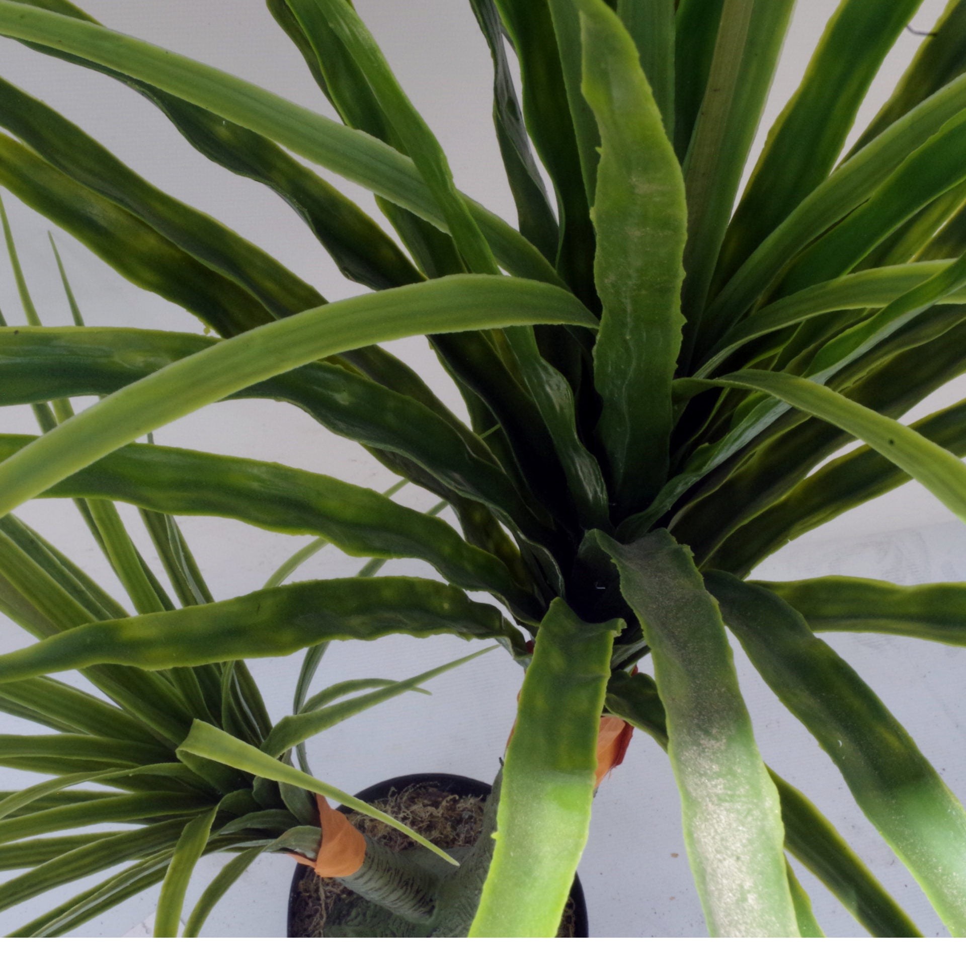 110cm Artificial Dracaena Nolina Recurvata Palm Tree