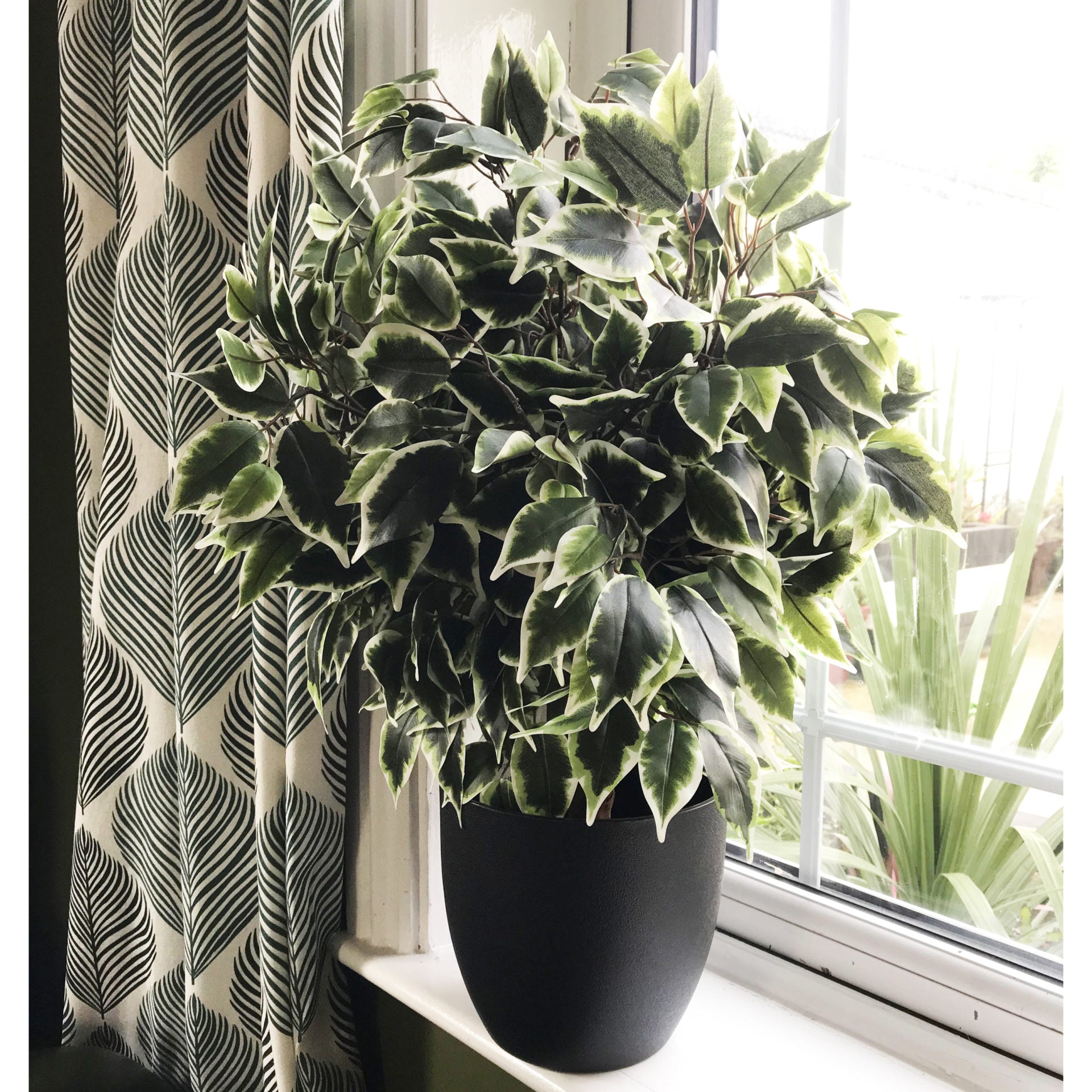 60cm Premium Artificial Variegated Artificial Ficus Ball in Pot