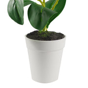 40cm Artificial Mini Desktop Plant
